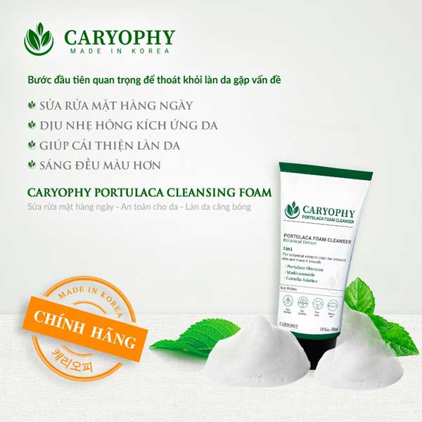 công dụng của sữa rửa mặt caryophy portulaca cleansing foam