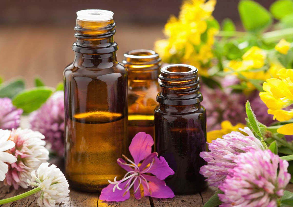 Kiến thức dầu tẩy trang từ A-Z để da mặt bạn khỏe đẹp Kiến thức dầu tẩy trang từ A-Z để da mặt bạn khỏe đẹp