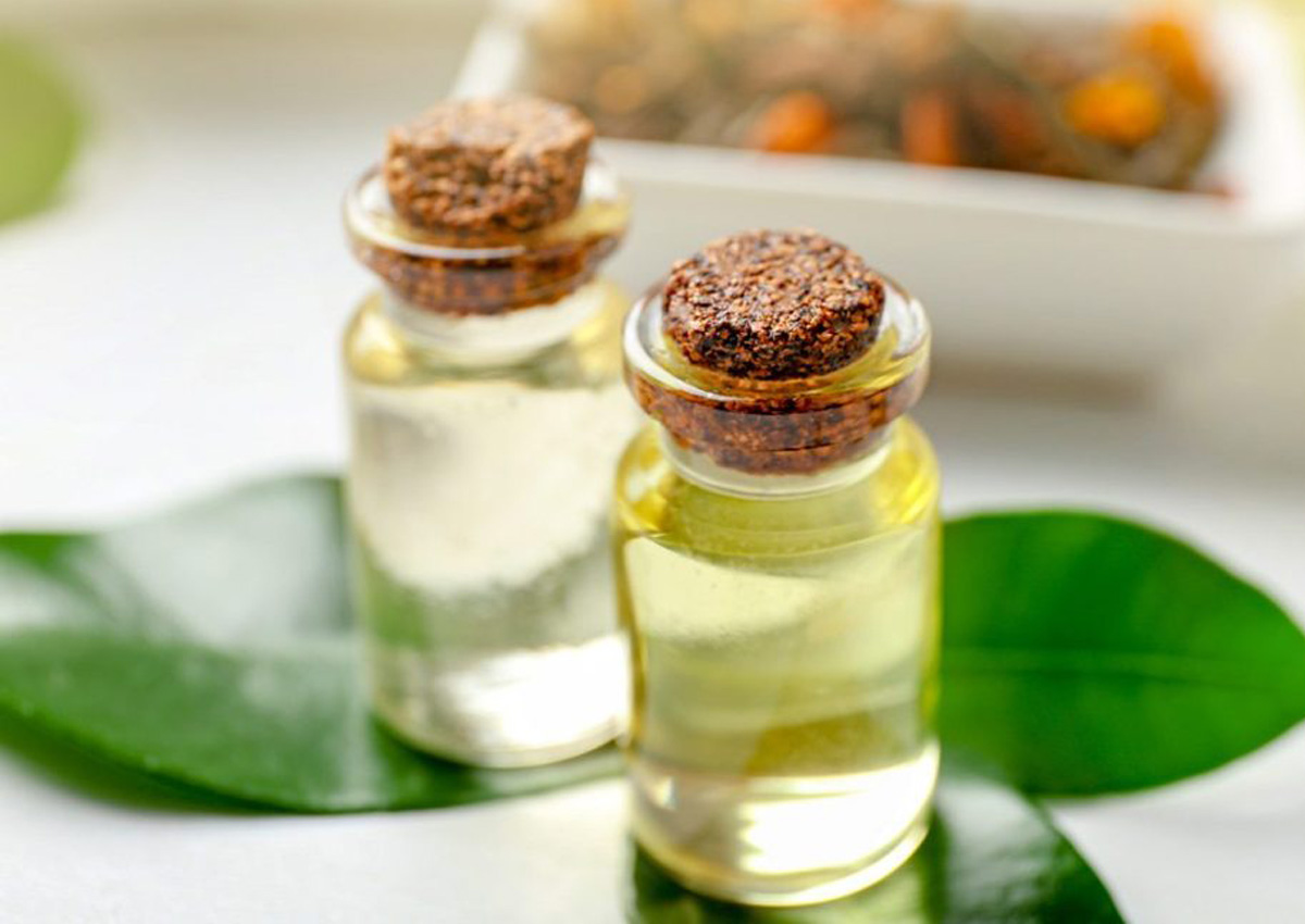 Kiến thức về tinh dầu tràm trà – tea tree oil trị mụn hiệu quả cho da Kiến thức về tinh dầu tràm trà – tea tree oil trị mụn hiệu quả cho da